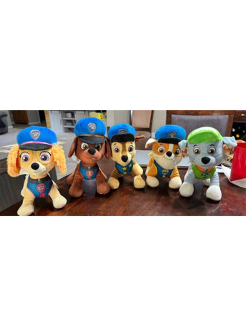 Paw Patrol Set of 5
